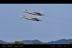 TWINBIRD.2