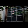 garden.3