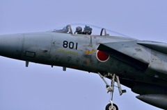 mambo 8 0 1