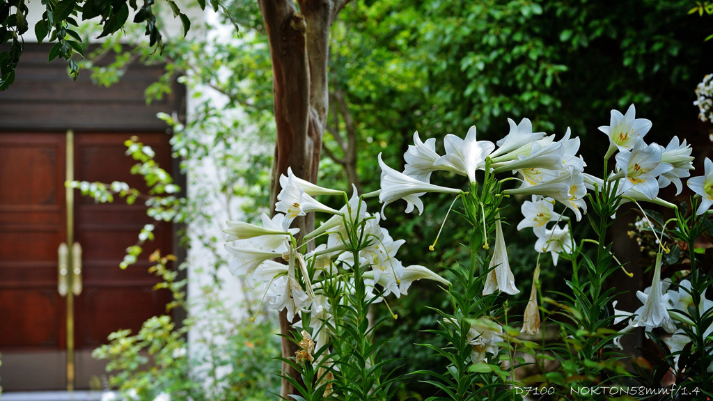 Jardin.3