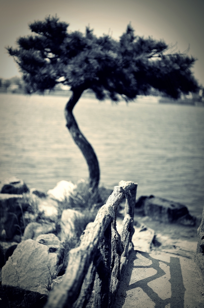 【monologue】three