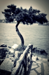 【monologue】three