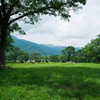 笹ヶ峰放牧場