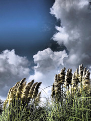 風雲