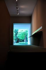 オアシス