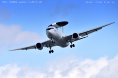  春の冷えた空をふわふわ気持ちよさそうに飛んでら.