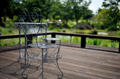 garden  relaxation 