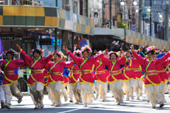 にっぽんど真ん中祭り３