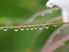 waterdrop.5