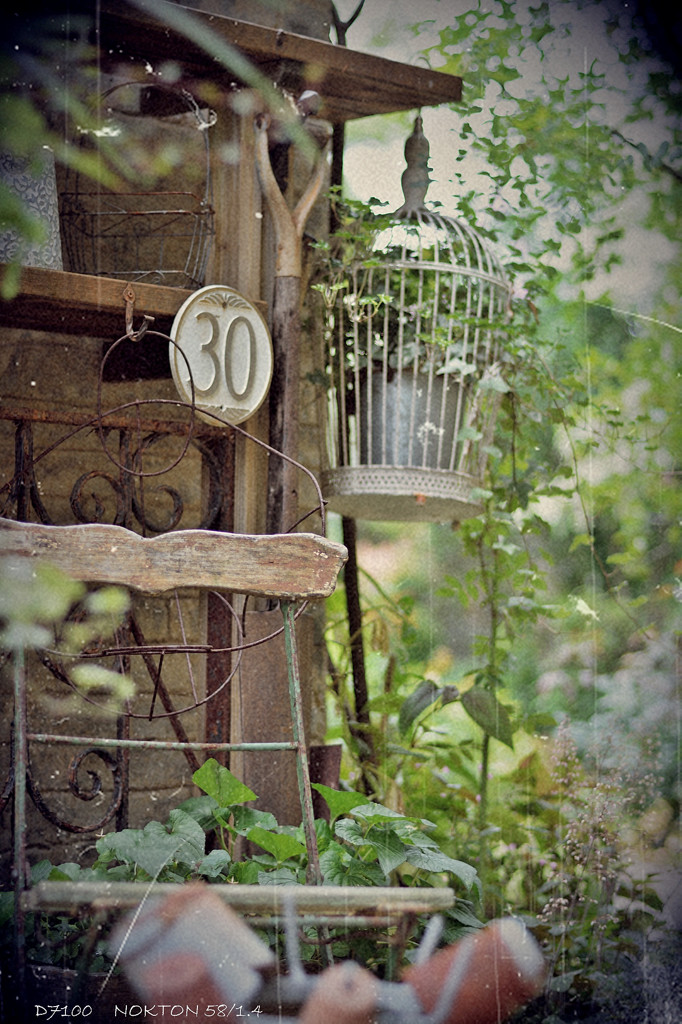 un jardin des fleurs.2