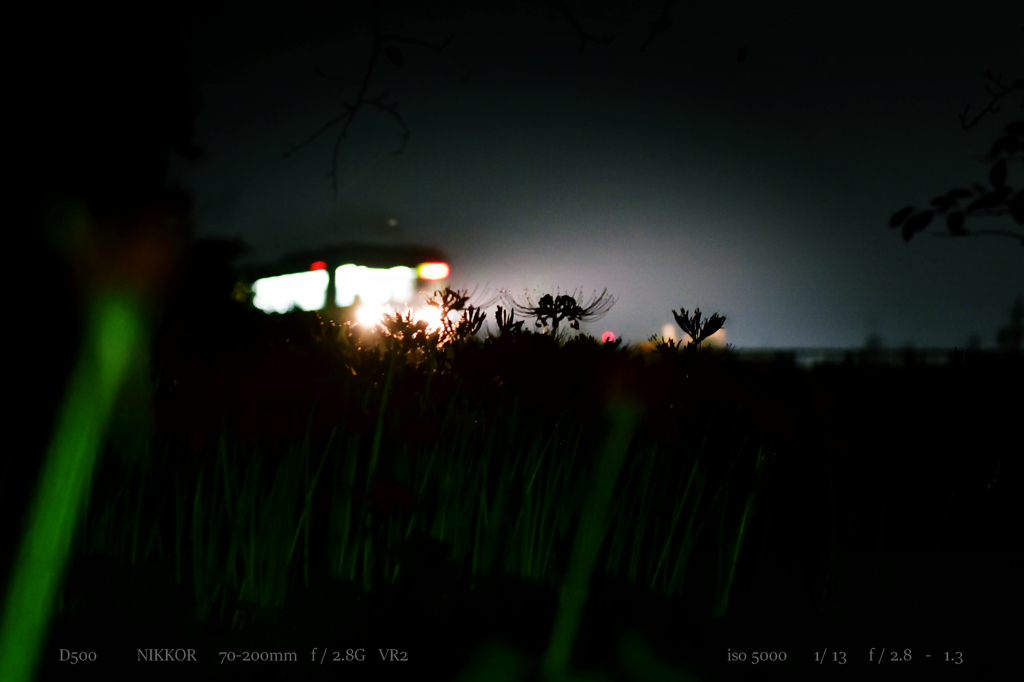 autumn collaboration .2
