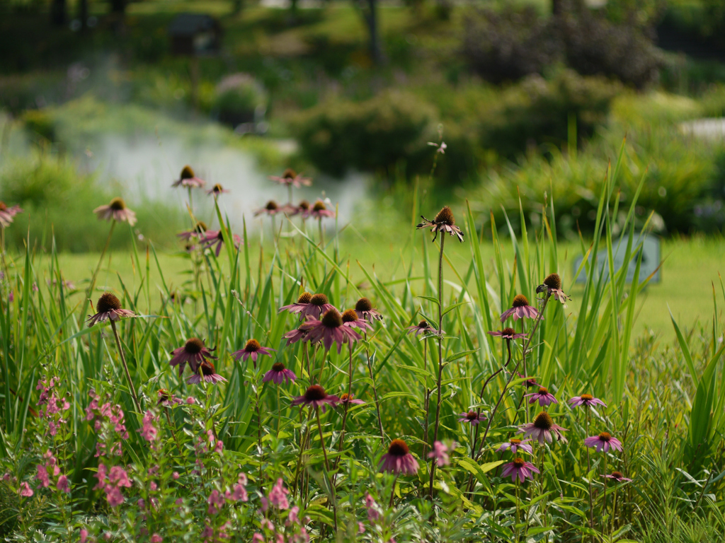 relaxation　Garden B