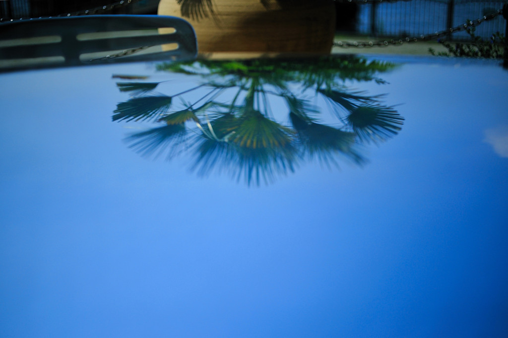 夏の予約席