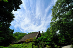 手を焼いてます①