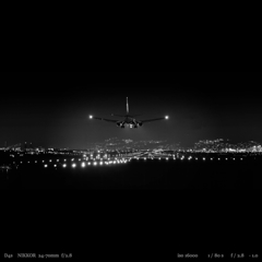 Blackbird.2
