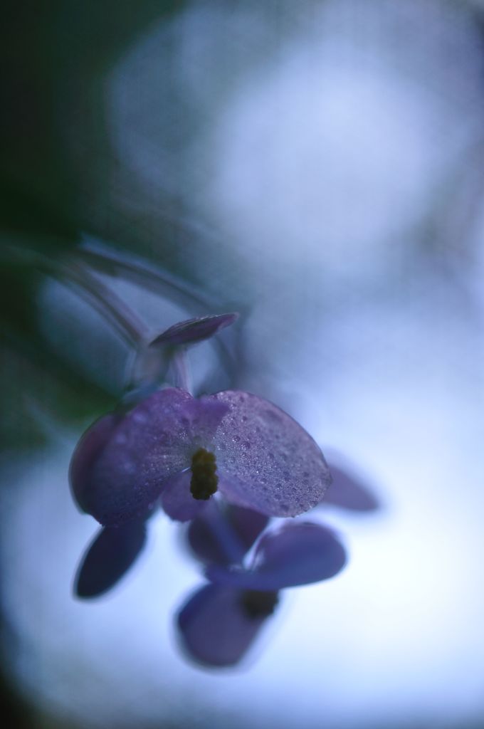 雨の日は大人しく