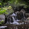 Early summer.6