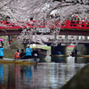 　桜 水 都 .2