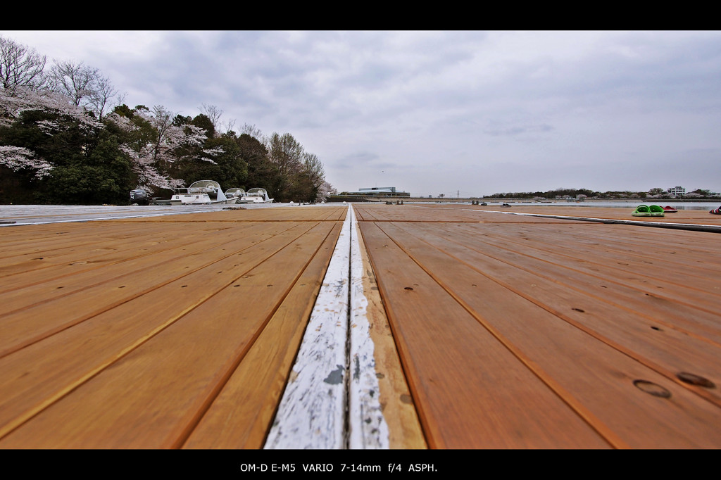 deck.