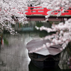 桜 水 都 .6