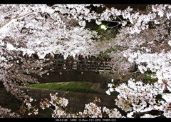 華枠