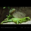 ザ・たっち 