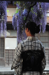 藤娘