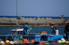 海で働く人々