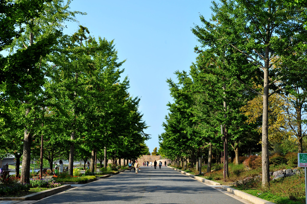 日曜日の公園