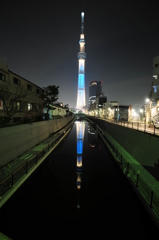 逆さツリー