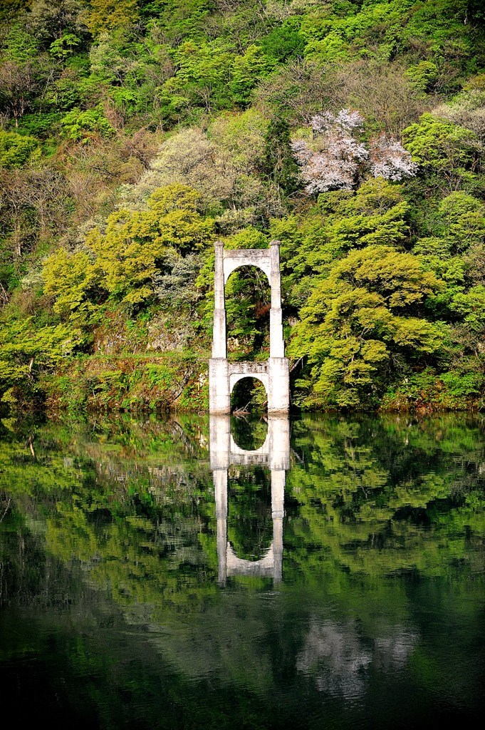 水面に映る姿