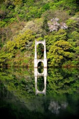 水面に映る姿