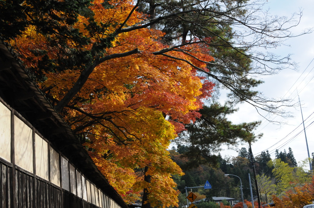 紅葉