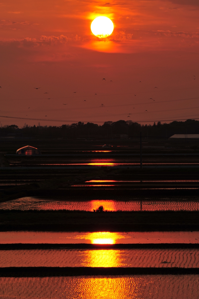 低空飛行隊　夕日を目指す