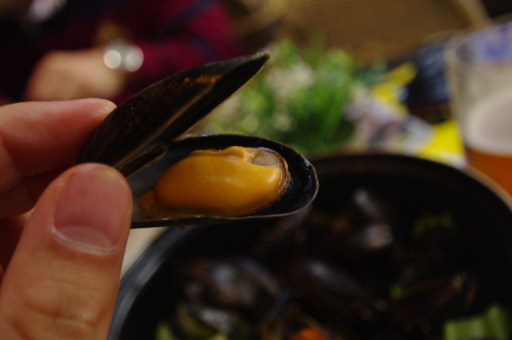 Mussel