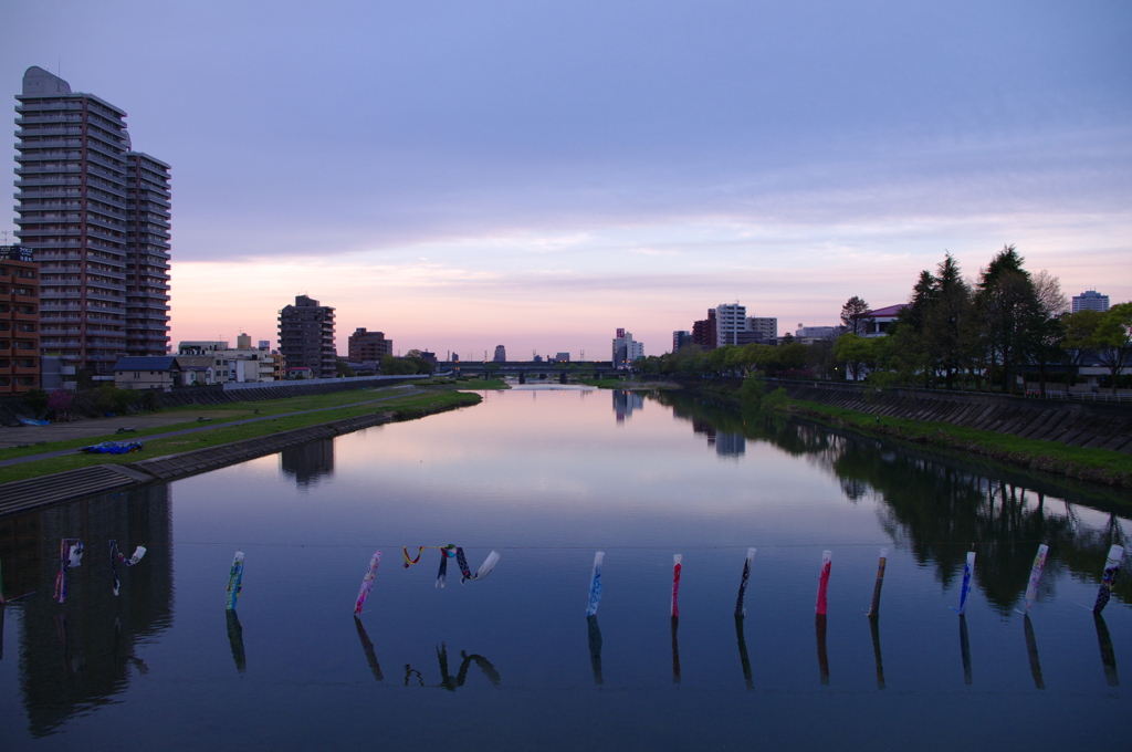 朝の広瀬川にて