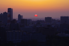 仙台に昇る太陽