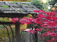 松島円通院