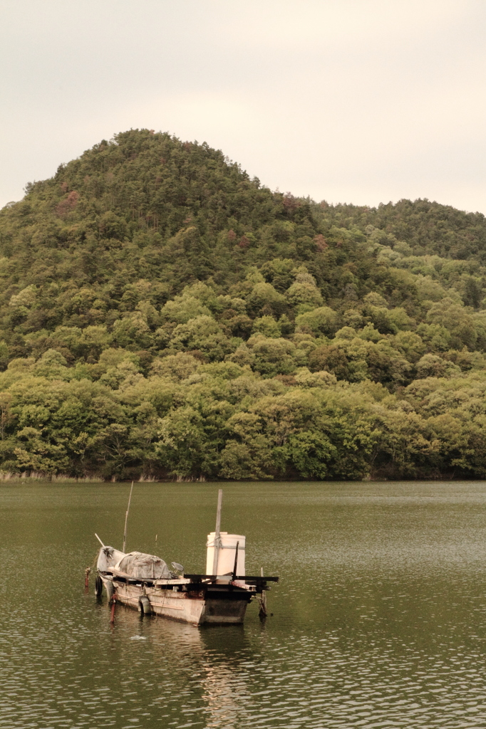 池に浮かぶ船