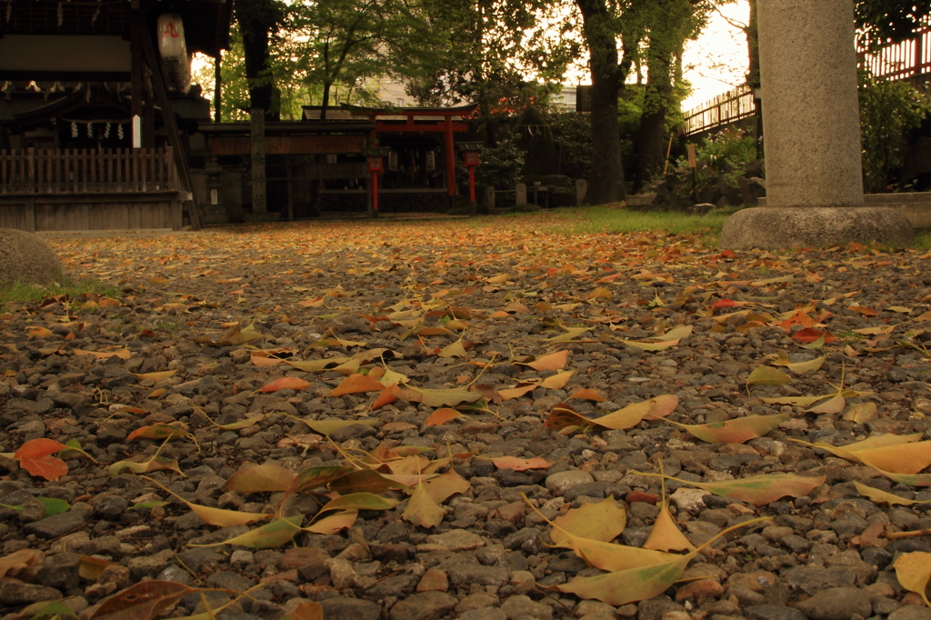 神社にて