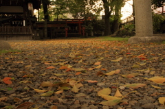 神社にて