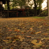 神社にて
