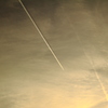 会館の空