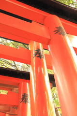 伏見稲荷：鳥居「奉」