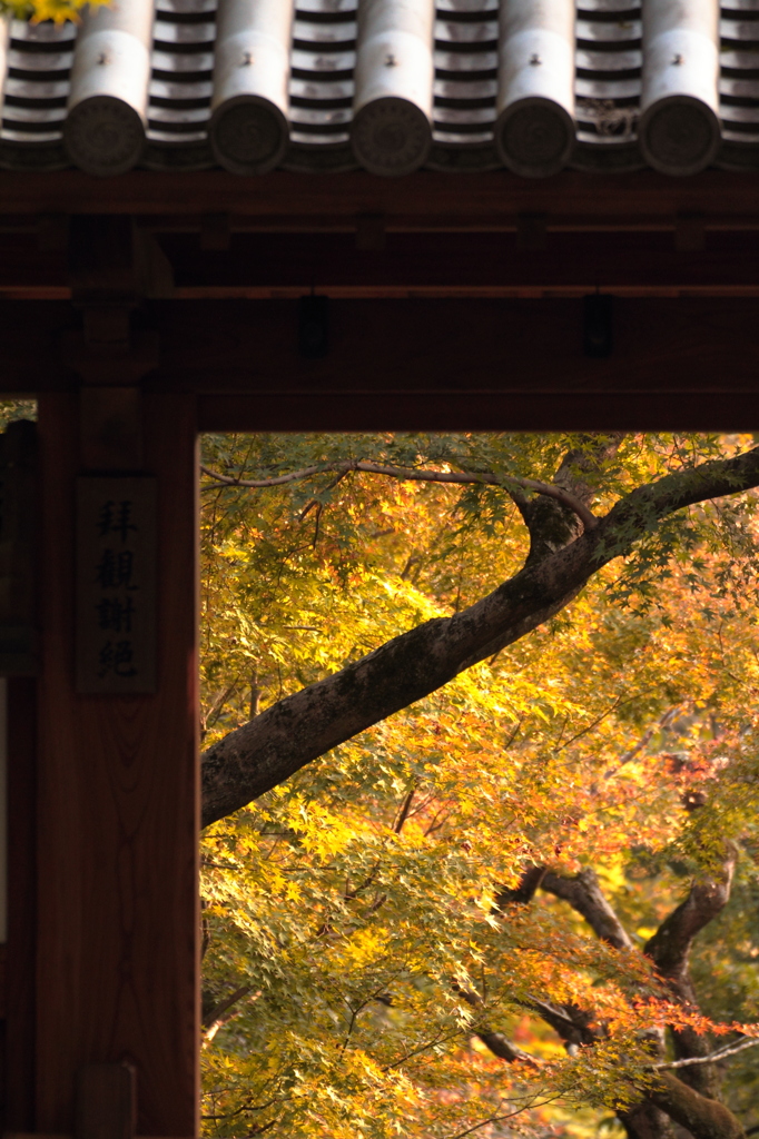 The gate to the autumn color