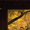 The gate to the autumn color