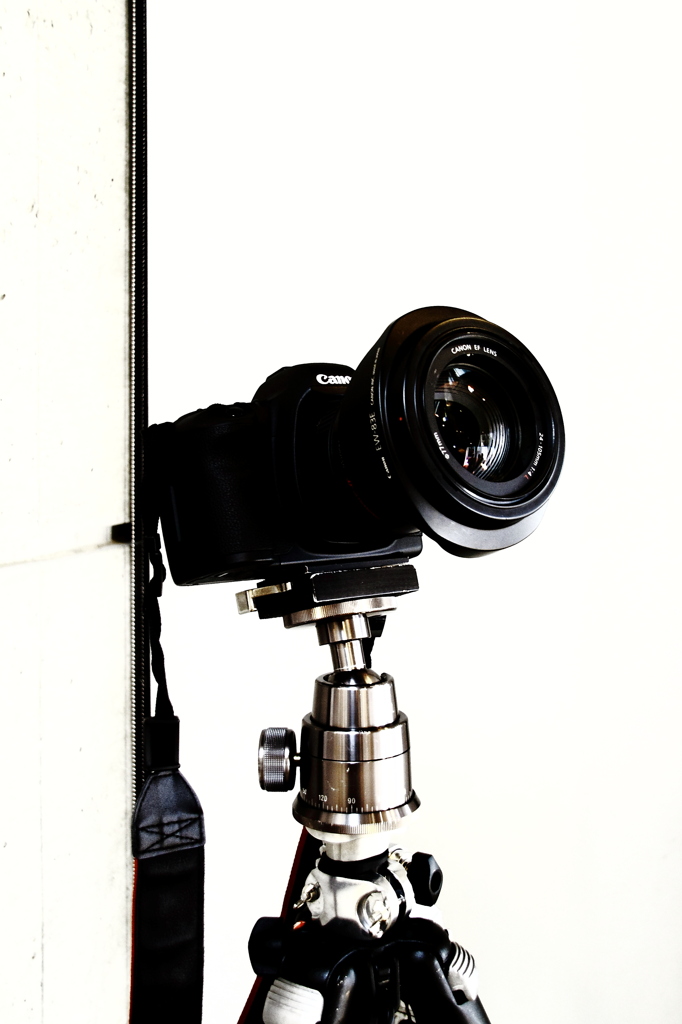 Canon 5D MarkII 