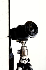 Canon 5D MarkII 