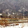 白髭神社―湖西線