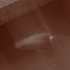 金魚